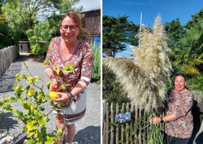 Oogst tuin in Frankrijk