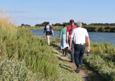 Wandeltochten in Frankrijk