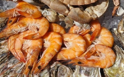 Deelnemers fotowedstrijd 2025