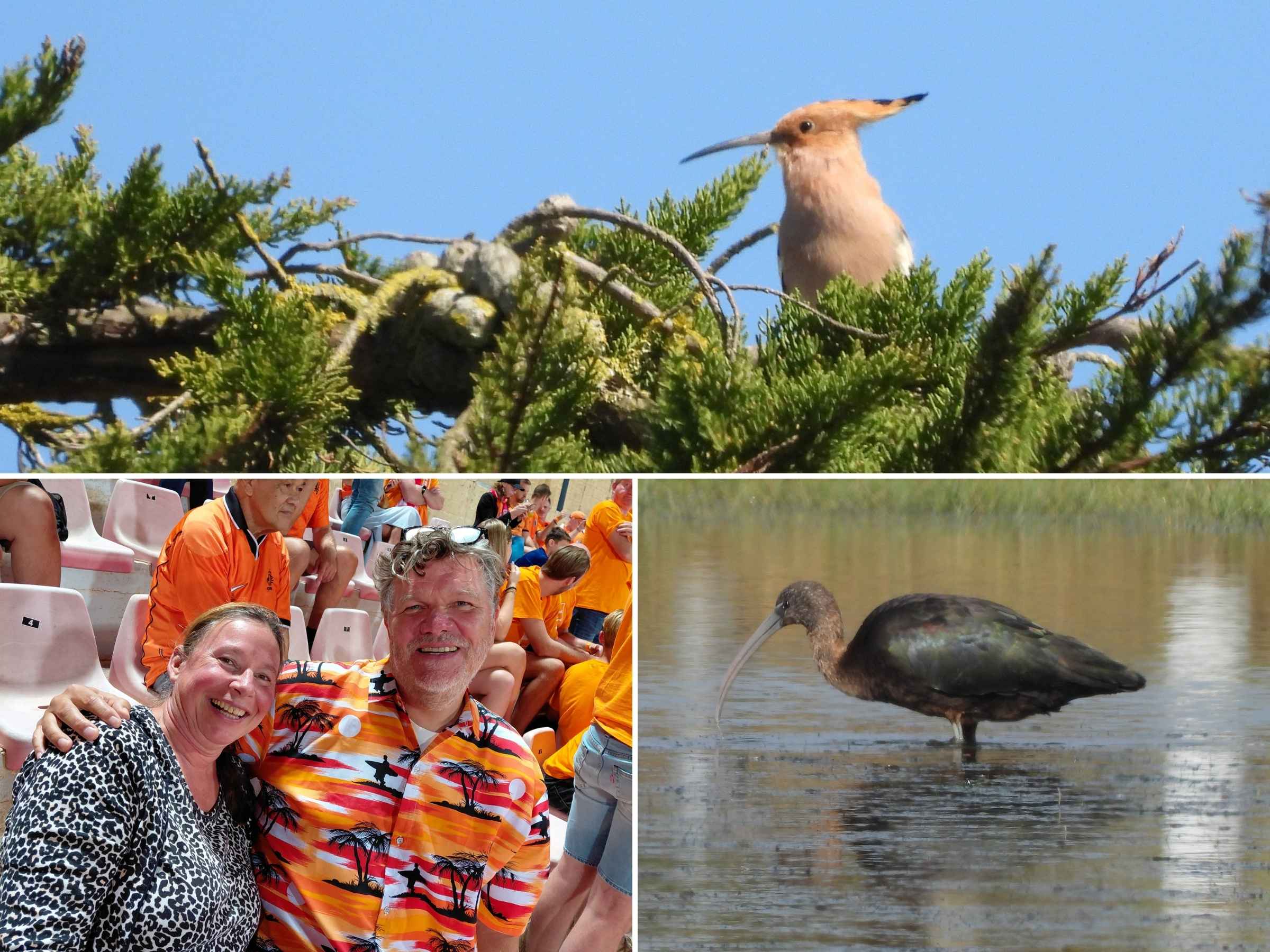 Nieuwsbrief 2025 Hemko prive