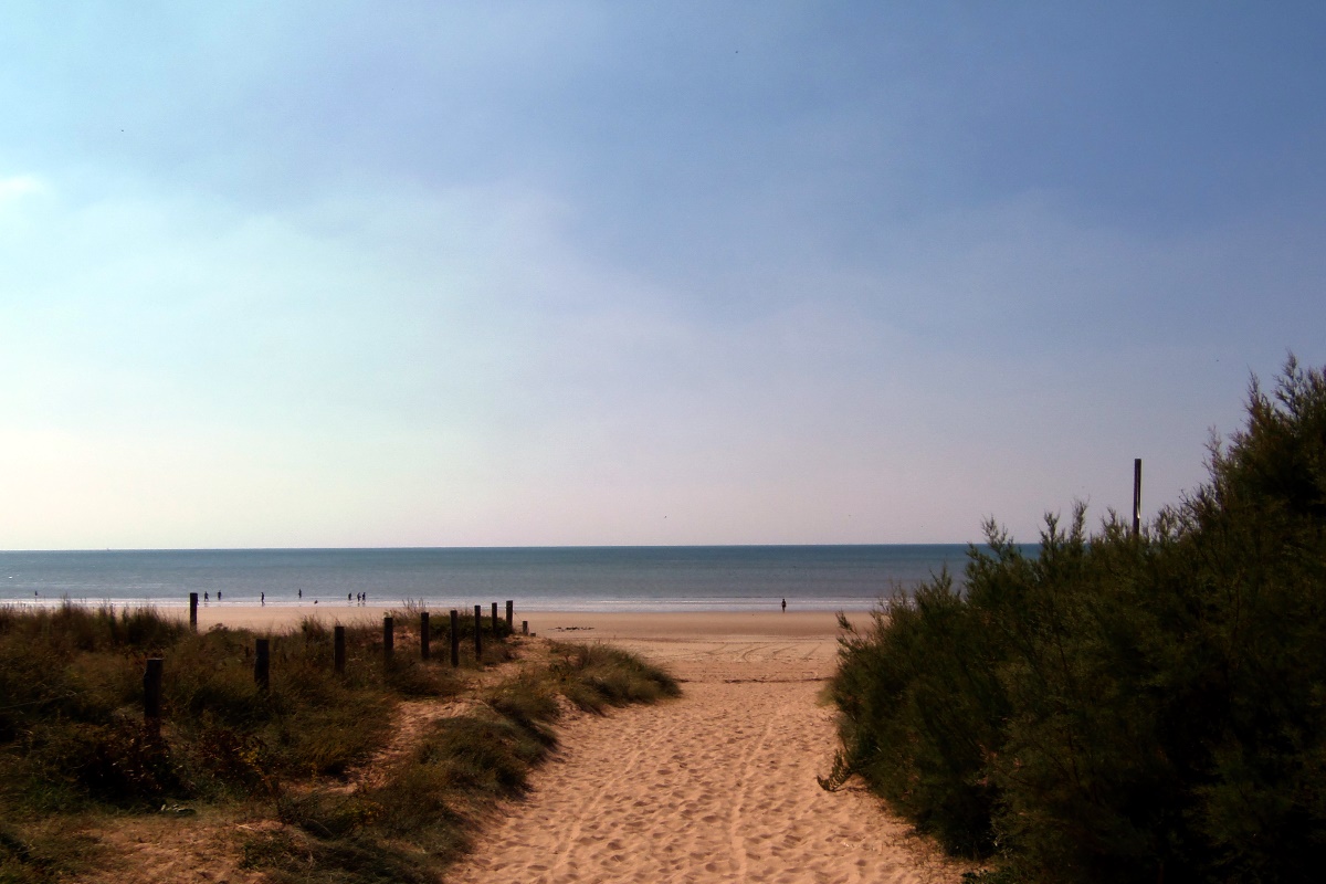 strand-barre-de-monts-duinenpad-naar-zee Duinpad naar het strand van Barre de Monts aan de Atlantische kust in Frankrijk.